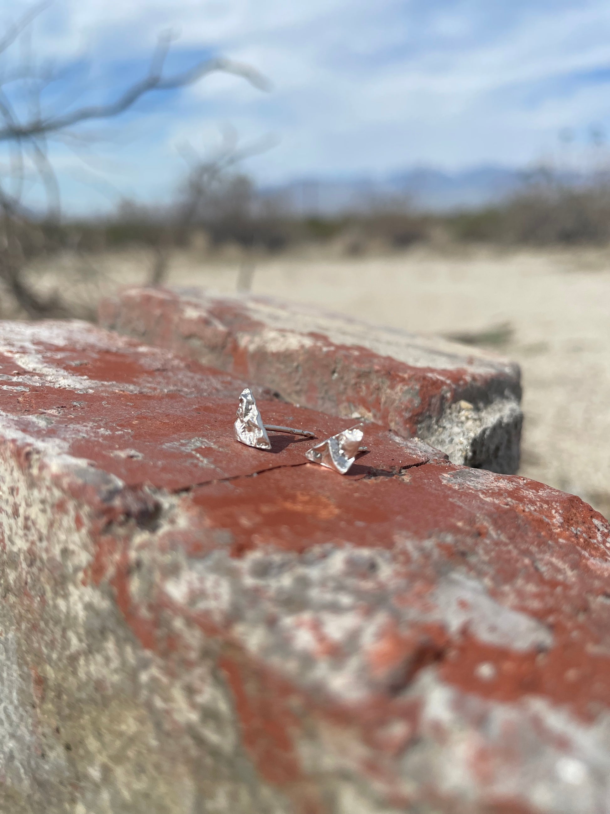 Small Triangle Studs Thriving